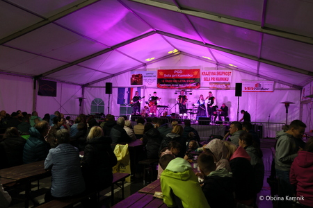 Dobrodelni koncert PGD Sela (7)